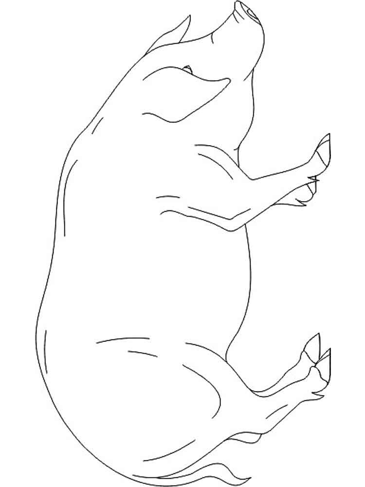 Розмальовка Свиня