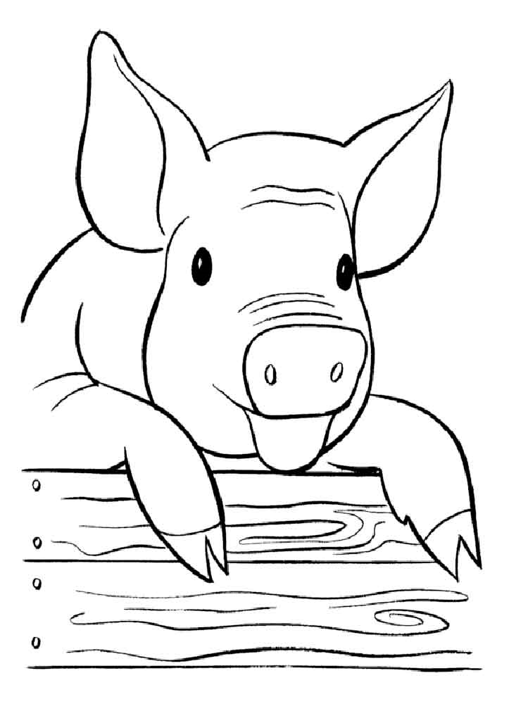 Розмальовка Свиня