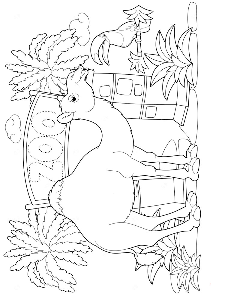 Розмальовка Верблюд