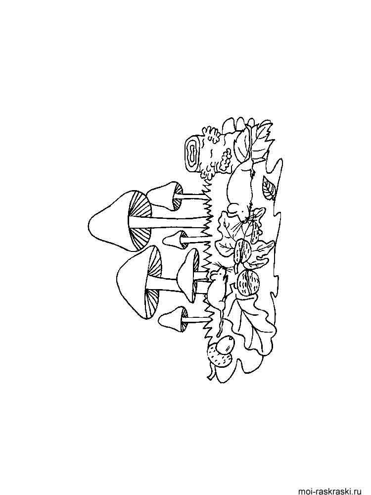 Розмальовки Гриби