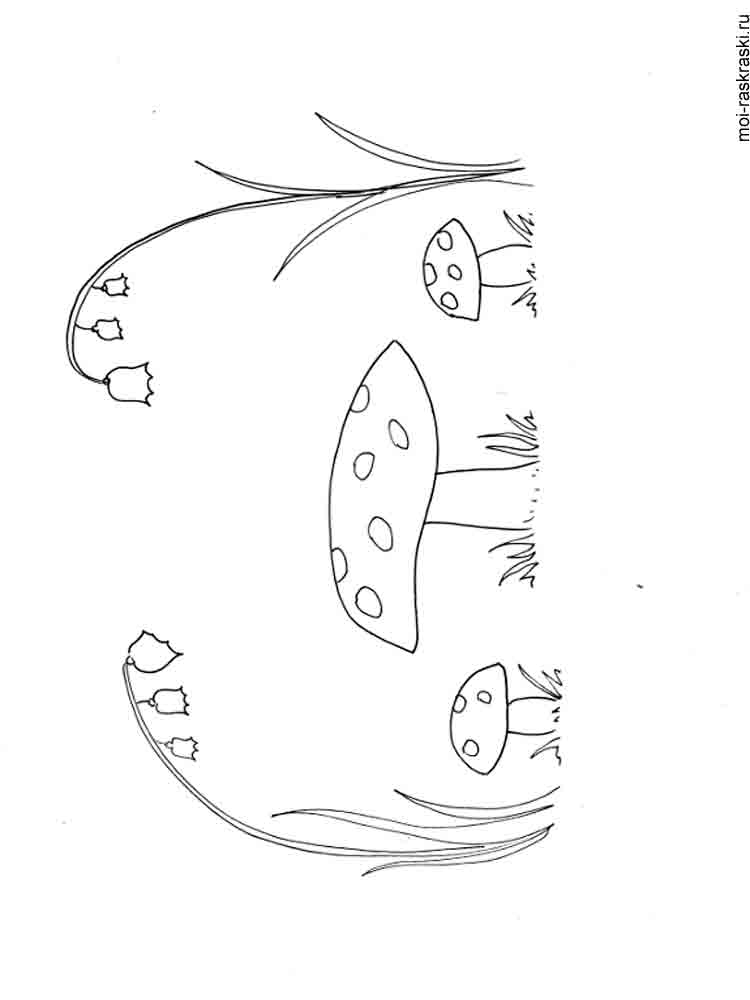 Розмальовки Гриби