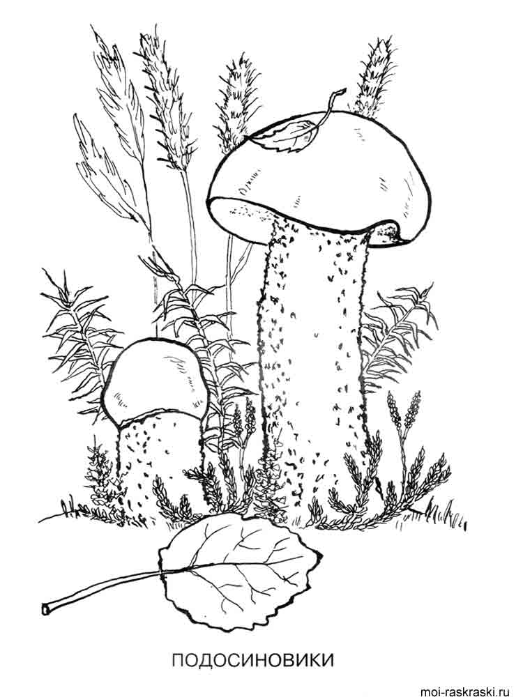 Розмальовки Гриби