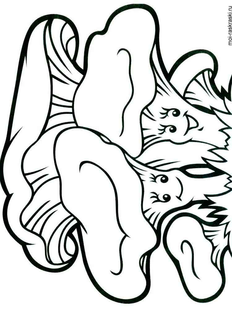 Розмальовки Гриби