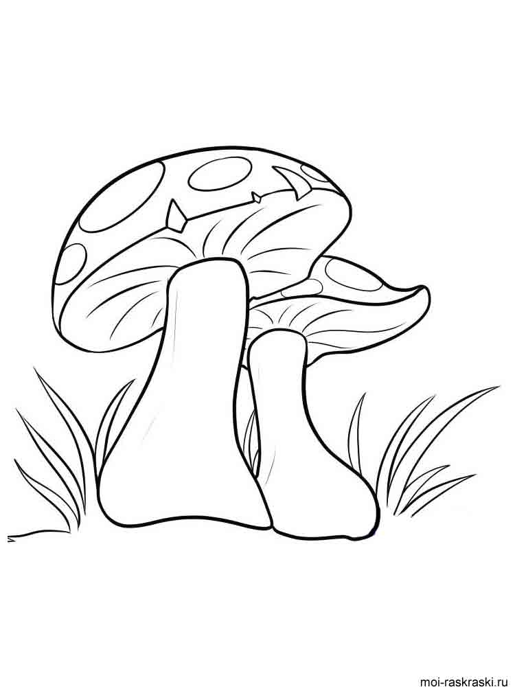 Розмальовки Гриби