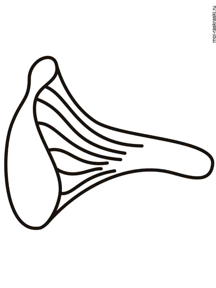 Розмальовки Гриби