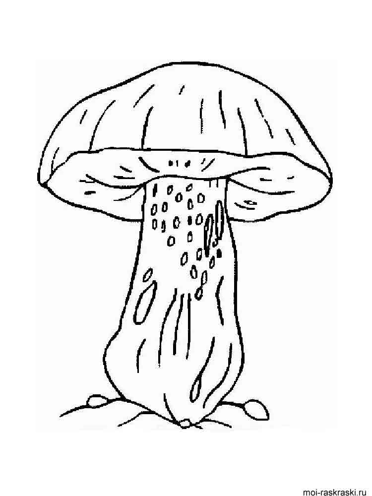 Розмальовки Гриби