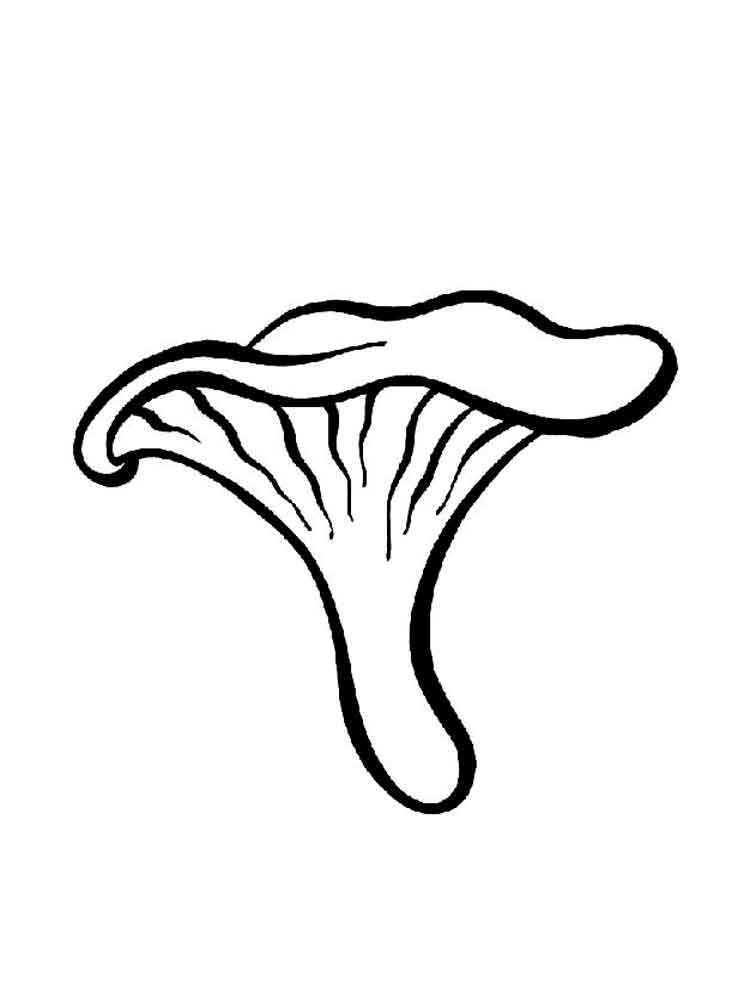 Розмальовки гриби Лисички