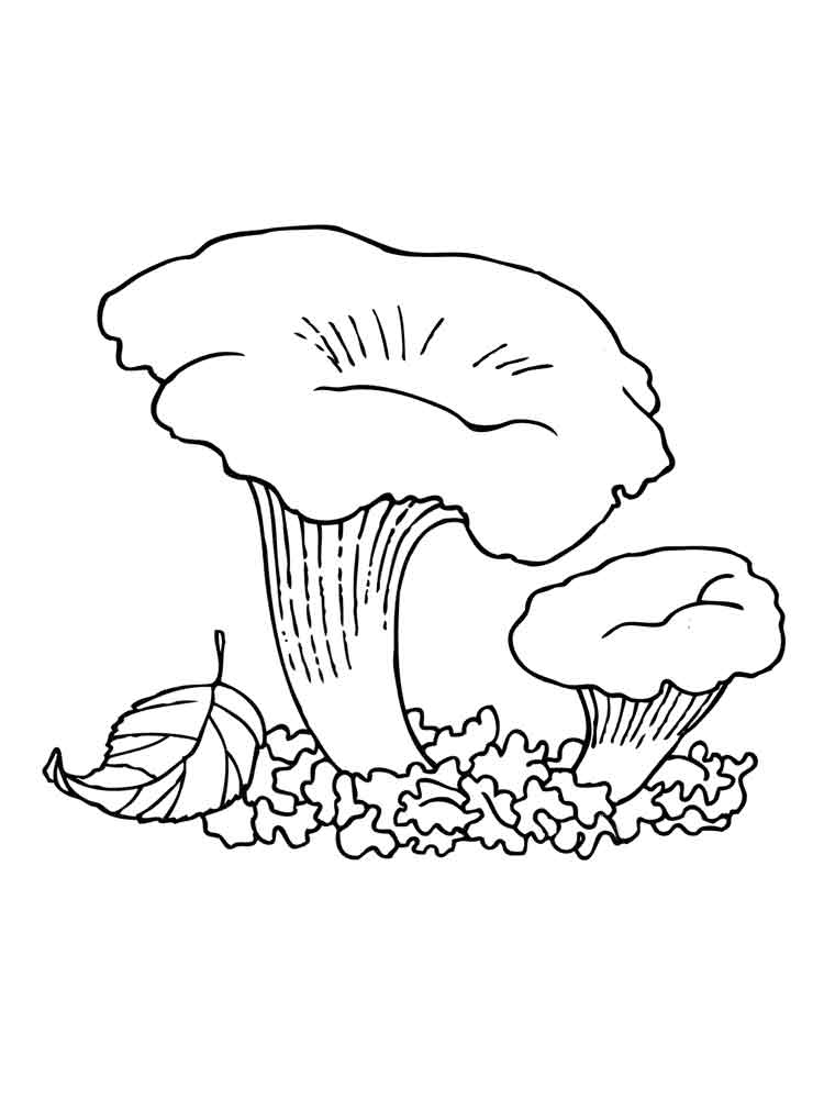 Розмальовки гриби Лисички
