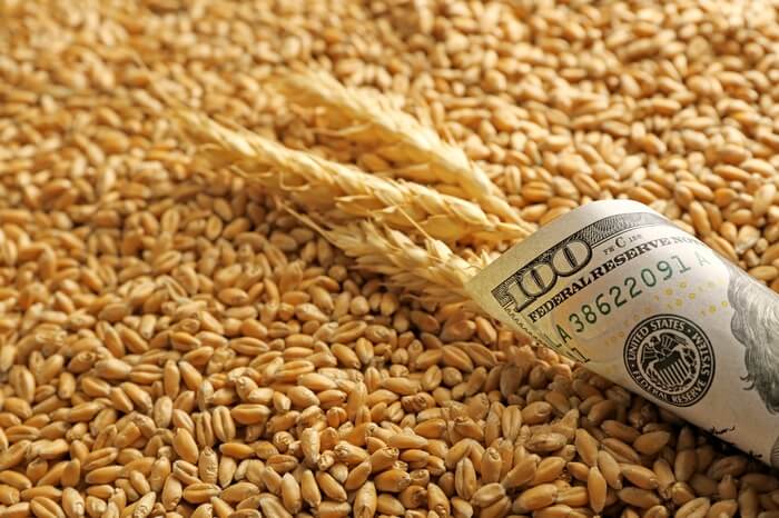 Продаж пшениці на Українській універсальній біржі