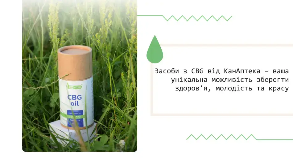 Що таке CBG та які властивості містить цінна олія канабісу?
